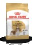 ROYAL CANIN® BHN CAVALIER KING CHARLES ADULT - Пълноценна суха храна за кавалер кинг чарлз шпаньоли