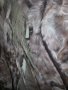 Палто-сребърна лисица,естествен косъм, снимка 7