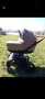 Детска количка Bexa Ultra, снимка 1 - Детски колички - 39293119