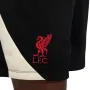 Мъжки шорти Nike Liverpool F.C. Strike Special Edition HJ1980-010, снимка 5