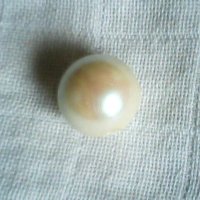 красиви обеци от естествени перли, снимка 5 - Обеци - 39859736