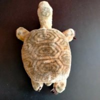 Колекционерска мека играчка Steiff Turtle Костенурка, снимка 11 - Колекции - 37764661