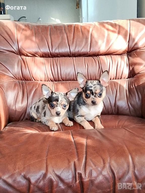 Продават се, снимка 1