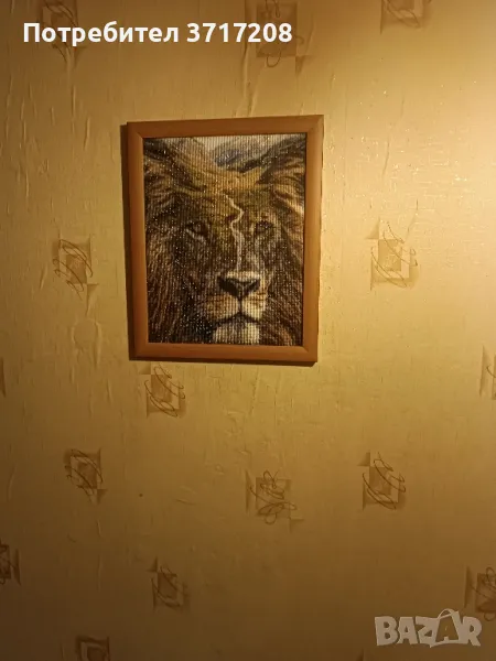 диамантен гоблен, снимка 1