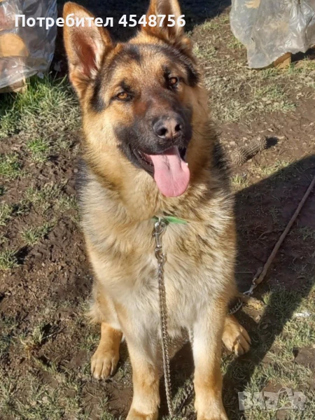 Продава се , снимка 1