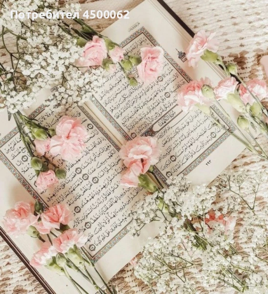 ходжа , снимка 1