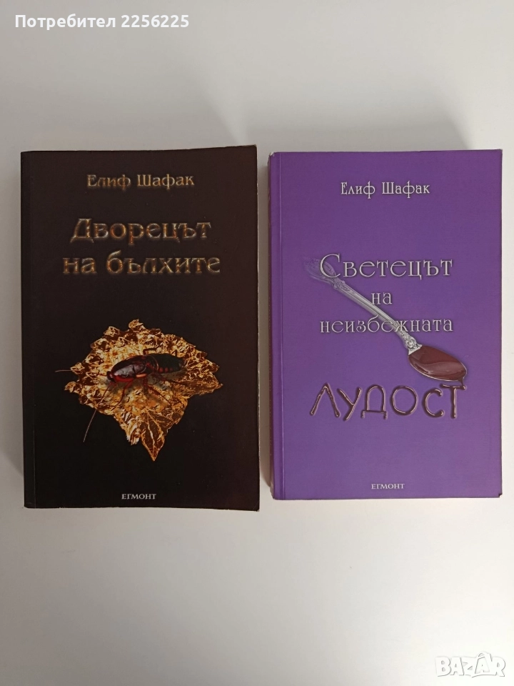 ЛОТ Елиф Шафак, снимка 1