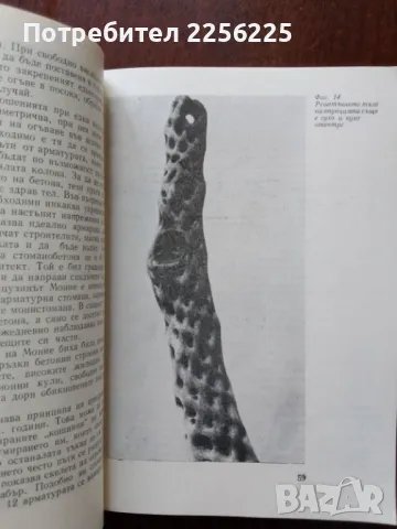 Растенията гениални инженери на природата, снимка 3 - Специализирана литература - 50427637