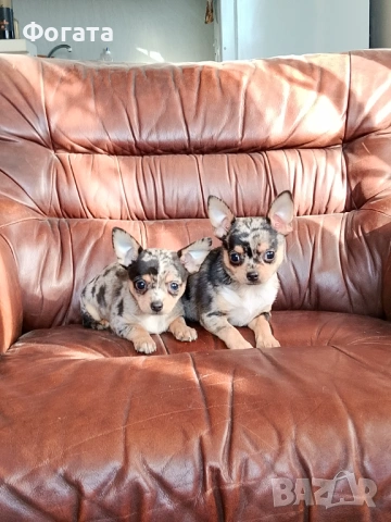 Продават се