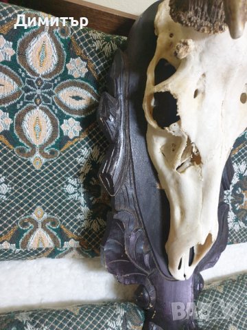 Трофей от голям благороден елен с поставка от дъб–ръчна дърворезба., снимка 9 - Антикварни и старинни предмети - 36803498