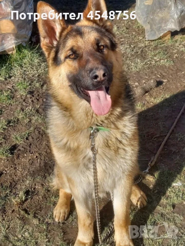 Продава се , снимка 1