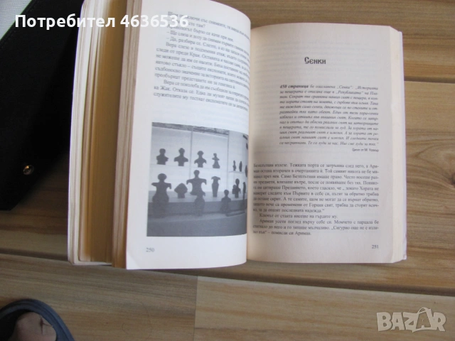 Книга-Мастиленият лабиринт, Людмила Филипова, снимка 3 - Художествена литература - 53443282