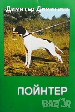 Пойнтер
