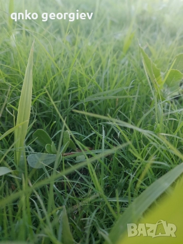 предлагам пълна поддръжка на имоти и почистване на изоставени терени, снимка 16 - Други - 52061450