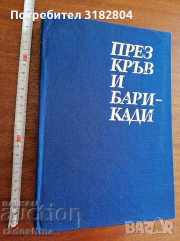 През кръв и барикади