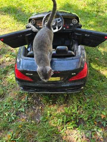 ДЕТСКИ МЕРЦЕДЕС AMG, снимка 6 - Детски велосипеди, триколки и коли - 51562871