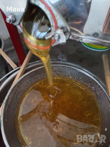 Натурален пчелен мед на едро, снимка 2 - Пчелни продукти - 48985039