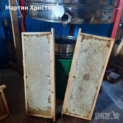 Пчелен мед от Еленския балкан 2023, снимка 6 - Пчелни продукти - 30567850