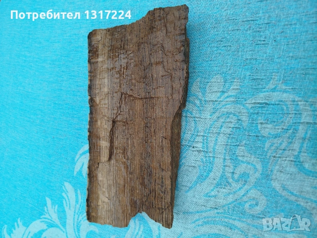 вкаменено дърво, снимка 2 - Колекции - 53174193