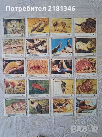 Картинки от дъвки 