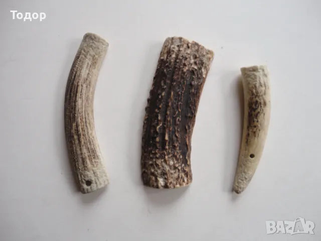 Рог рога 2, снимка 3 - Антикварни и старинни предмети - 50287884