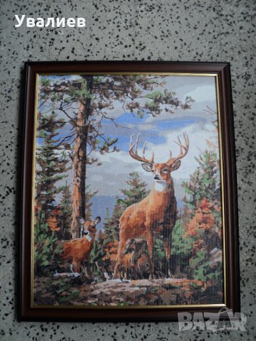 Картини, снимка 6 - Картини - 21197653