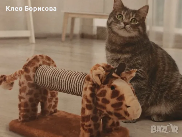 Драскалка за котка във формата на жираф, снимка 5 - За котки - 49143994
