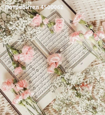 ходжа , снимка 1