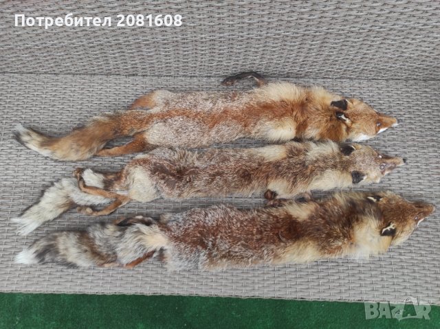 Лисица яка естествена кожа 3 броя , снимка 4 - Други - 37676348