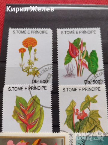 Пощенски марки чиста комплектна серия Растения, Цветя стари редки за колекция декорация - 22048, снимка 2 - Филателия - 36642246