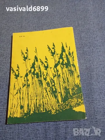 Ради Царев - Дивите ми приятели , снимка 3 - Българска литература - 48371180