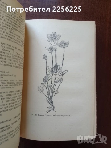 Лекарствени растения, снимка 6 - Специализирана литература - 50614346