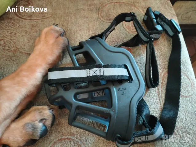 Чисто нов намордник 