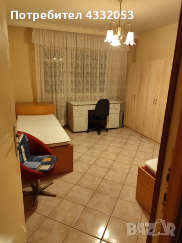 Стая под наем, снимка 2 - Стаи под наем - 52925276