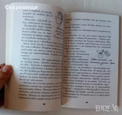 Томас Брецина - Това е тайна! Книга 19: Търси се добра фея, снимка 3 - Детски книжки - 47862566