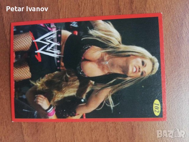 Кеч Карти # WWE, снимка 17 - Колекции - 43949624