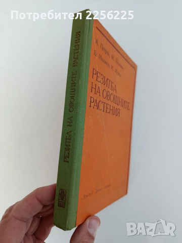 Резитба на овощните растения, снимка 10 - Специализирана литература - 52848996