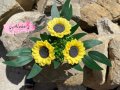 Ръчно изработен букет от слънчогледи - подарък за рожден и имен ден, снимка 1 - Градински цветя и растения - 43793690
