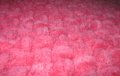 Детско розово одеяло, снимка 4