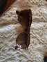 Очила Ray Ban, снимка 2