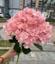 Изкуствени цветя ХОРТЕНЗИИ в различни цветове, снимка 5