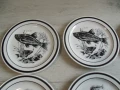 № 8071 комплект 9 броя стари порцеланови чинии - COLDITZ  - илистрюцация - риби - печат / маркировка, снимка 2