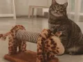 Драскалка за котка във формата на жираф, снимка 5