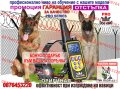 Електронен нашийник за куче , водоустойчив потопяем ,GPS тракер за куче, АНТИ ЛАЙ каишка , снимка 10