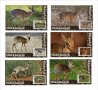 Чисти блокове Фауна Антилопа Дик-дик 2020 от Тонго, снимка 1 - Филателия - 37603241