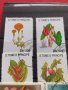 Пощенски марки чиста комплектна серия Растения, Цветя стари редки за колекция декорация - 22048, снимка 2