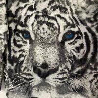 Дамска риза с принт тигър, oversize, овърсайз, шифон, M , снимка 5 - Ризи - 43195768