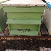 Пчелни семейства(отводки) в кошери или без кошери, снимка 4 - Други - 33287928