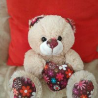 Плюшен мечок AMEK, снимка 1 - Плюшени играчки - 28526781