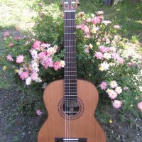 Класическа китара FIESTA-FC, снимка 1 - Китари - 36395290